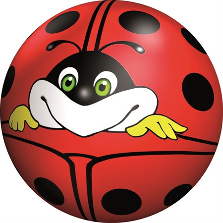 PLAYBALL NYCKELPIGAN (LADYBIRD)11