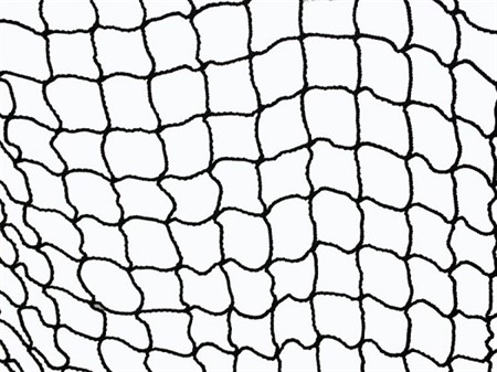 NET FOR SCHOOL YARD GOAL