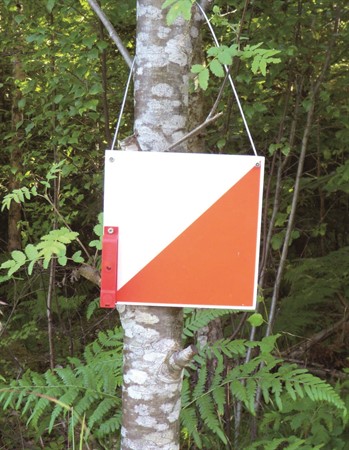 ORIENTERINGSSKÄRM 10x10